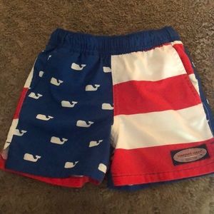 Whales and Stripes swim trunks